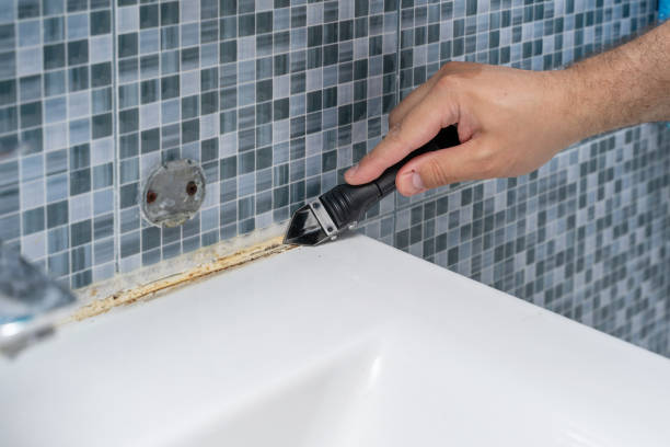 Best Office Mold Removal Services  in Belleview, FL