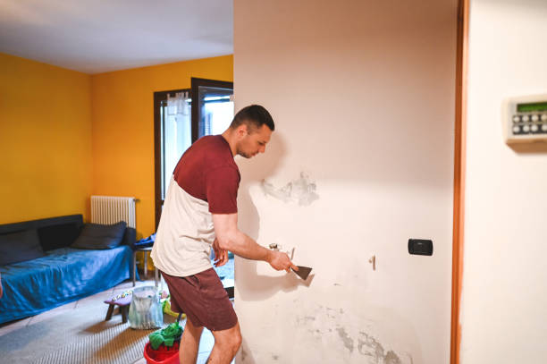 Best Commercial Mold Removal  in Belleview, FL